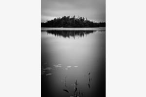 Moor in Kanada