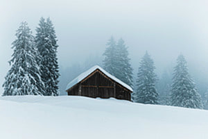 Stille