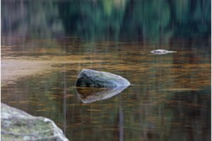 Stillleben im Moorsee