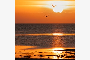 Strandleben