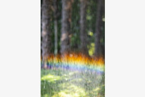 Rainbow Rainbow