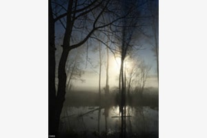 Sun and mist