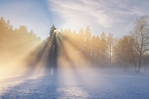 sunrays