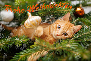 Tabsi's Baum