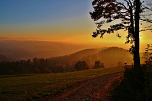 Letzte Stunde