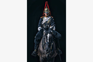 Kings Guard