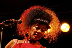 The singer The singer