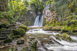 Tine de Conflens