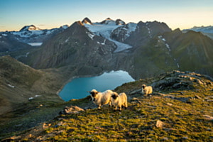 Letzte Sonnenstrahlen Letzte Sonnenstrahlen