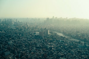 Tokyo in Stillness
