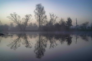 Nebelmorgen