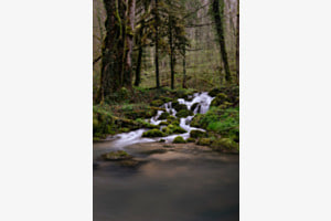 Waldwasserfall