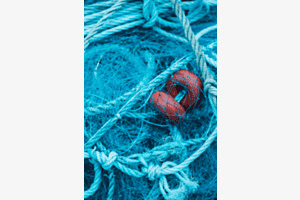 Das Blaue Netz