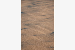 Sandmuster