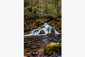 Wasserfall im Wald