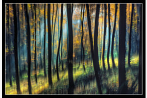 Längenberg Herbst