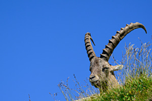 Mittagsruhe