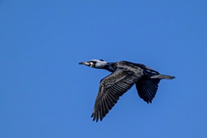 Ausflug