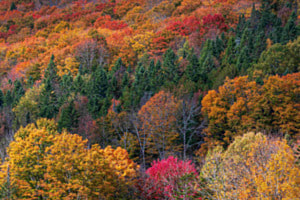 Vermont, Green Mountains