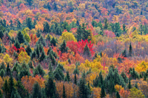Vermont, Green Mountains