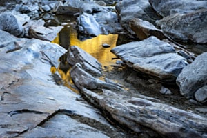 Verzasca