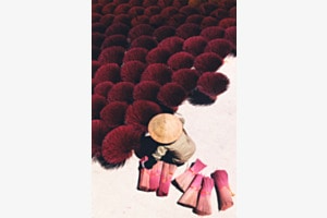 Vietnamese worker