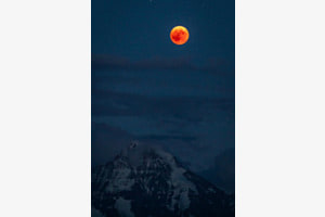 bloodmoon bloodmoon
