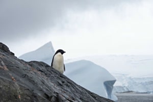 Leben am anderen Ende der Welt Leben am anderen Ende der Welt