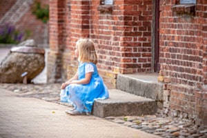 The Blue Dress