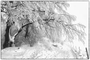 Wanderweg