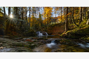 Herbstgold