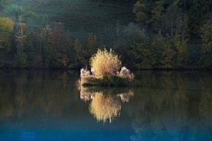 Weiher