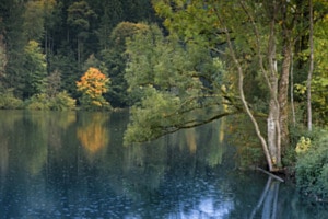 Weiher