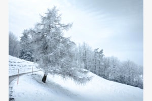 Winter Grzegorz 