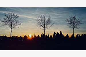 Winterabend am Rosengarten