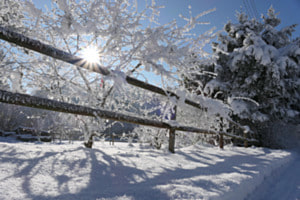 Winterlandschaft