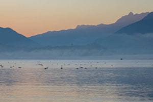 Morgenstimmung