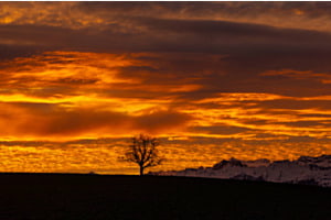 Morgenstimmung