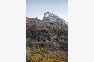Autumn #2