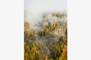 Autumn #3