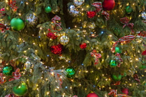 Weihnachtsbaum Zürich