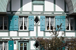 The blue house 