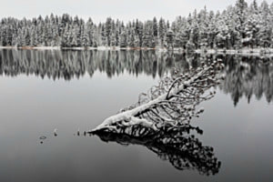 Winterruhe