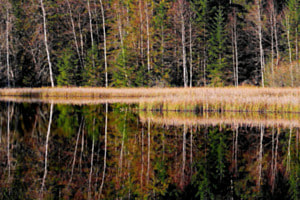 Etang de la Gruère