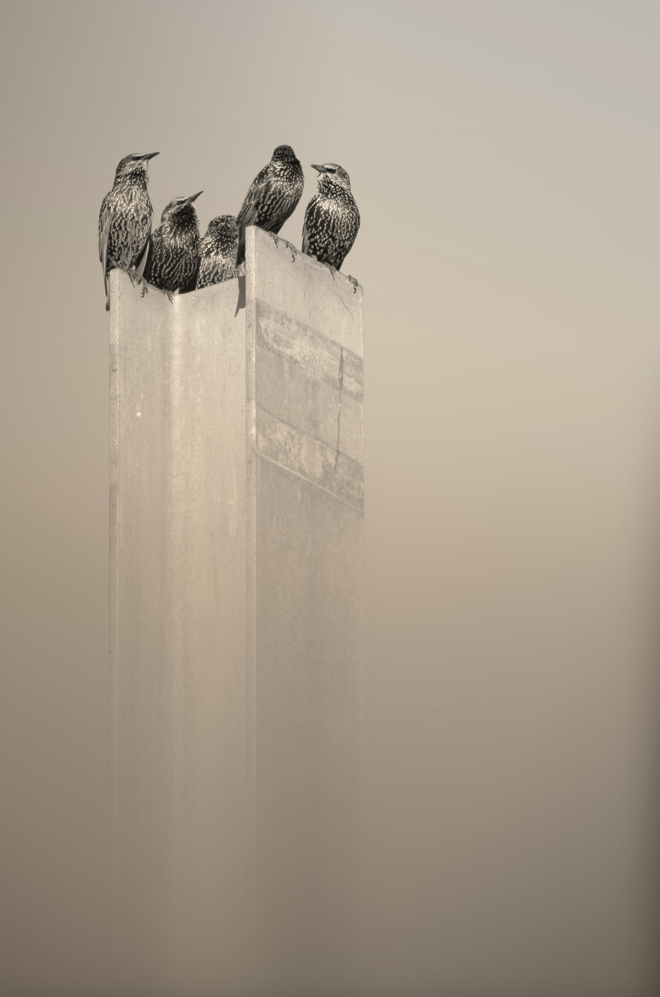 Konferenz über dem Nebel