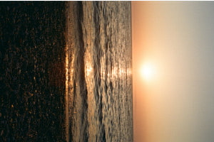 Sunset im Retrostyle (Panasonic Trip 35)