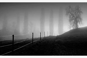 Gegenlicht