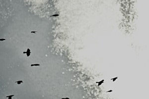 Flug der Dolen Flug der Dolen