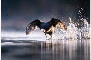 Über Wasser