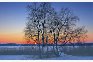 Sunnset Sunnset